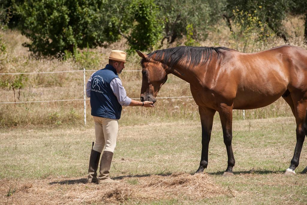 Podere Il Poggiolo Villa Rufina Esterno foto