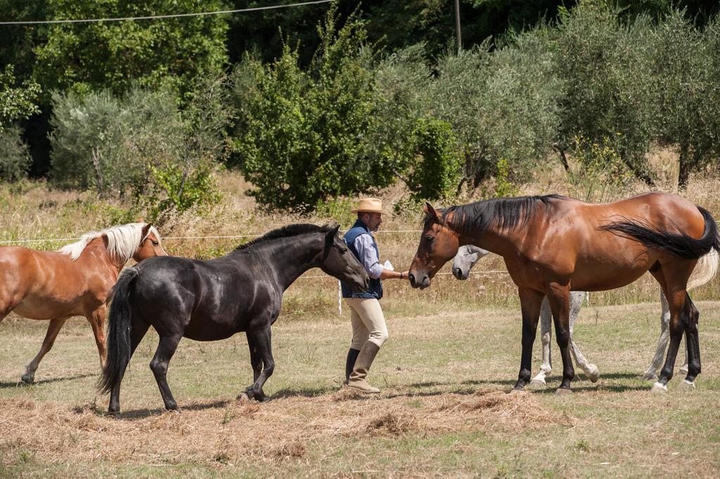 Podere Il Poggiolo Villa Rufina Esterno foto